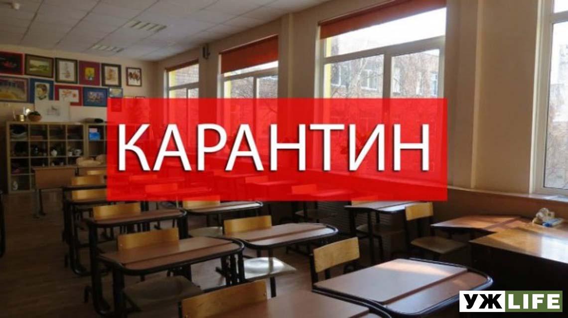 На Житомирщині 154 заклади освіти на карантині