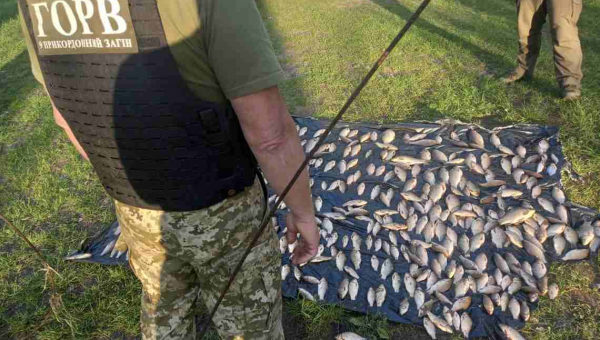 На Коростенщині двоє чоловіків наловили риби більш ніж на півмільйона гривень