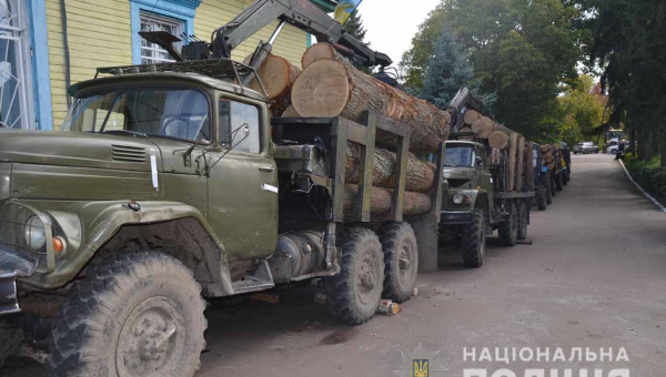 Одразу двох підпільних лісорубів затримали на Овруччині 