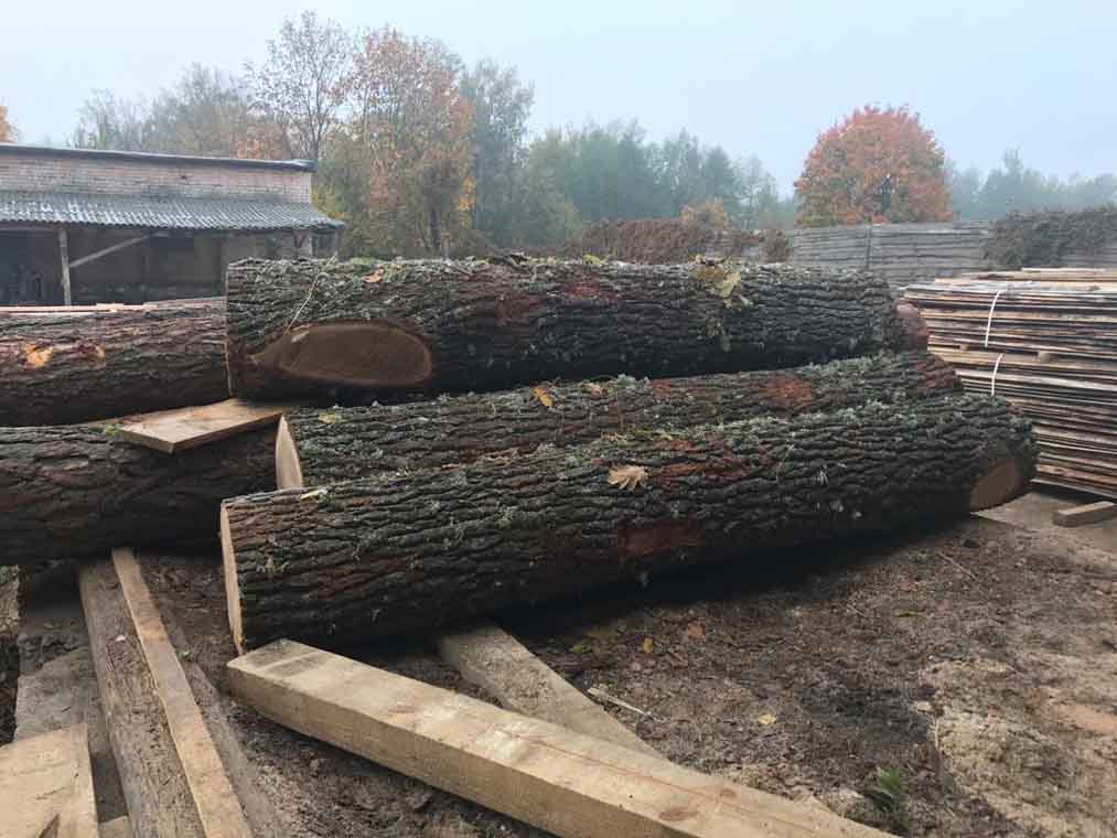 На лісопильнях Олевського району виявили незаконно зрізані дуби та сосни. ФОТО