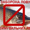 З 1 листопада заборонено ловити рибу на зимувальних ямах, - Житомирська рибоохорона (Інтерактивна карта)