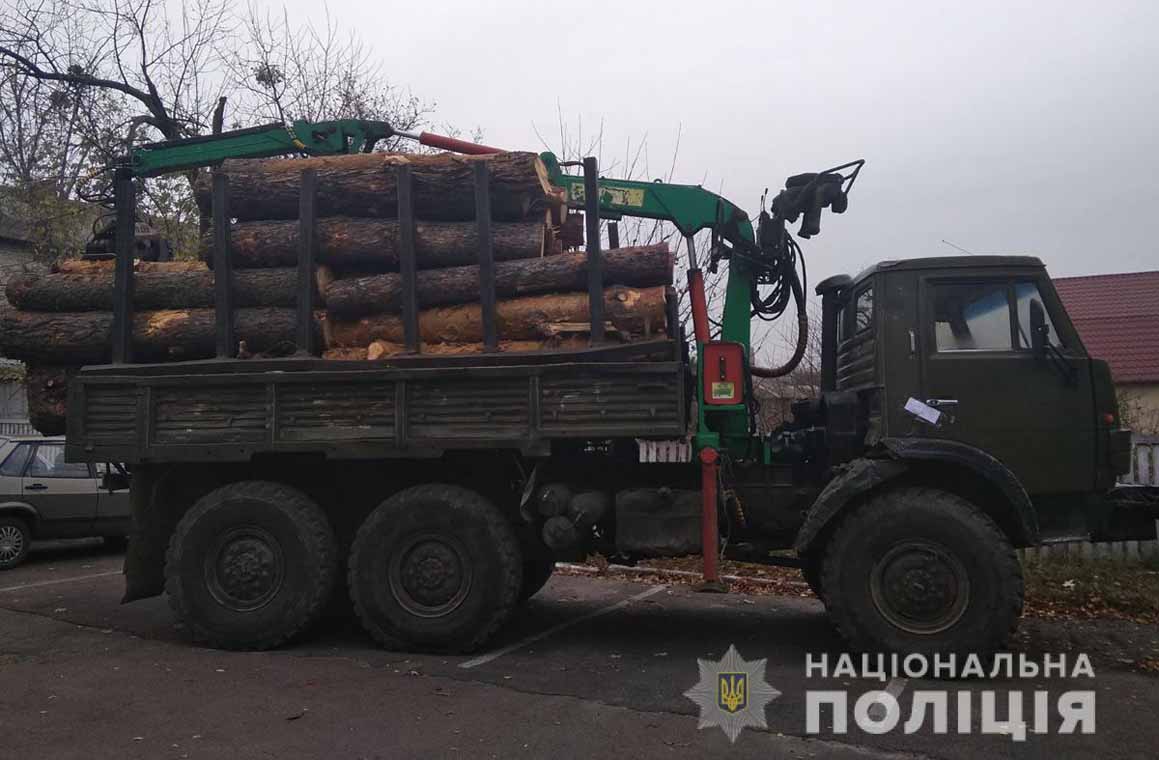 На Малинщині поліцейські затримали вантажівку з краденим лісом