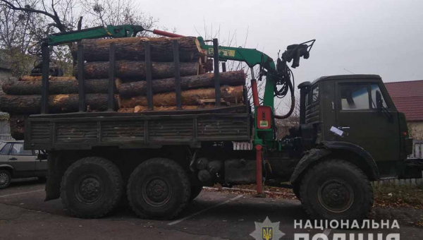 На Малинщині поліцейські затримали вантажівку з краденим лісом