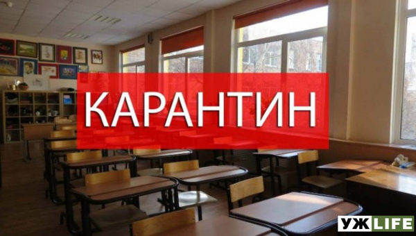 На Житомирщині 154 заклади освіти на карантині