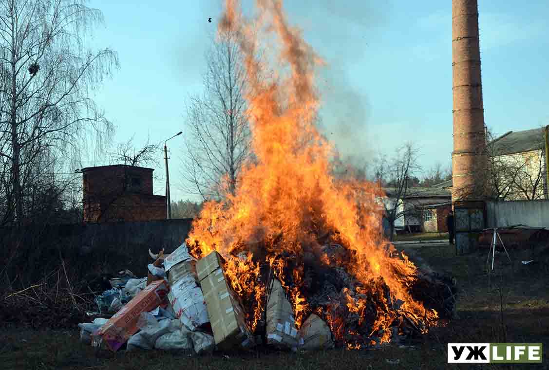 На Житомирщині спалили наркотиків на 2 мільйони гривень 🎥ВІДЕО та 📷ФОТО