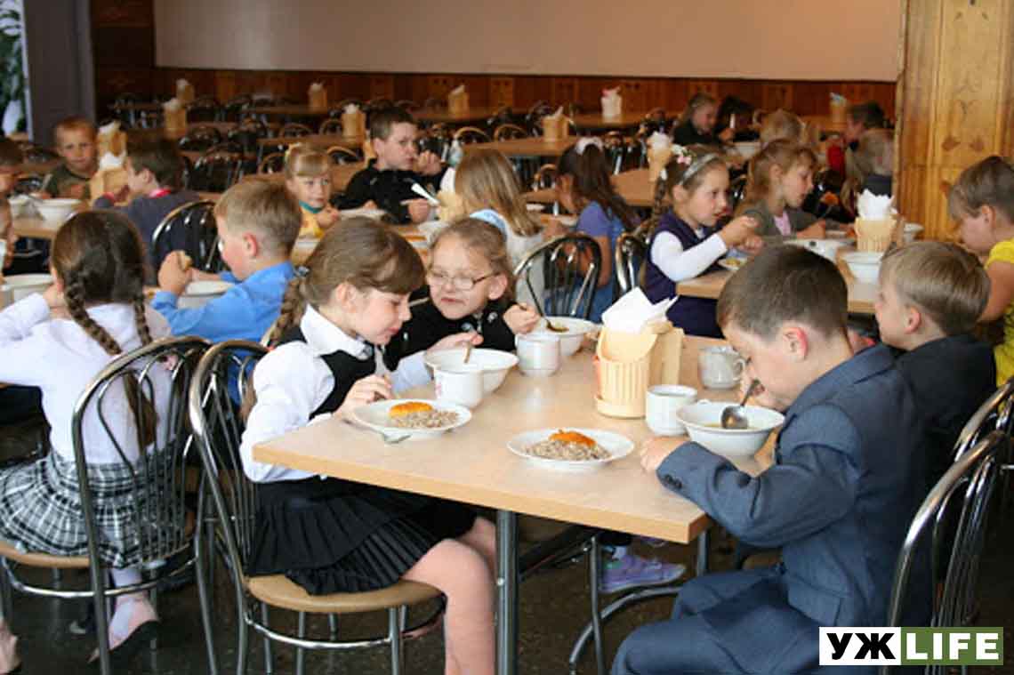У 83 закладах освіти Житомирської області спеціалісти виявили порушення вимог безпечного та якісного харчування дітей