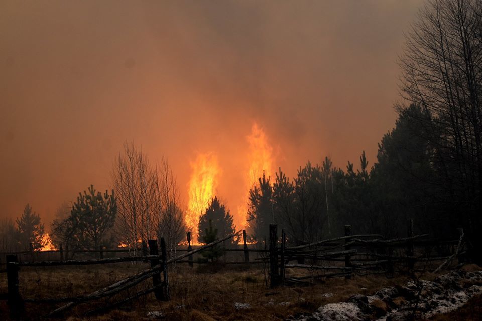 Мешканці Овруччини показали фото знищених вогнем сіл 📸ФОТОрепортаж