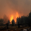 Мешканці Овруччини показали фото знищених вогнем сіл 📸ФОТОрепортаж