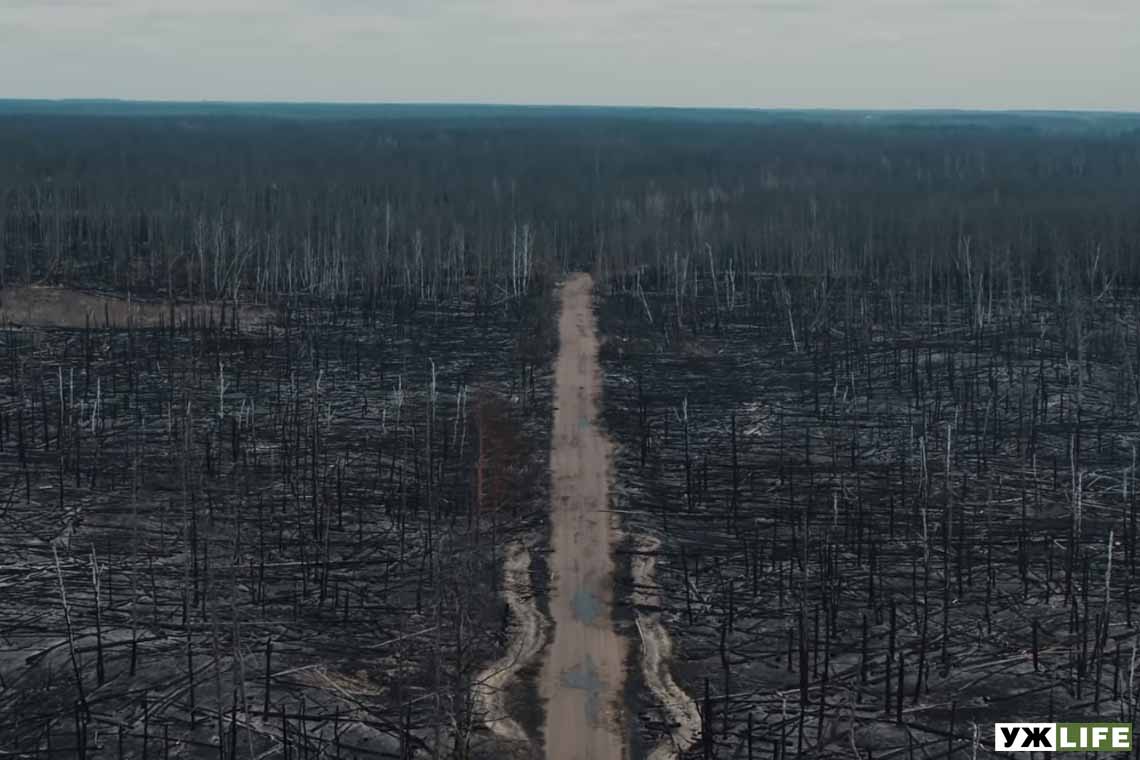 "Відчуття абсолютного апокаліпсису", - український режисер Капралов опублікував відео з наслідками пожеж у зоні відчуження. ВIДЕО