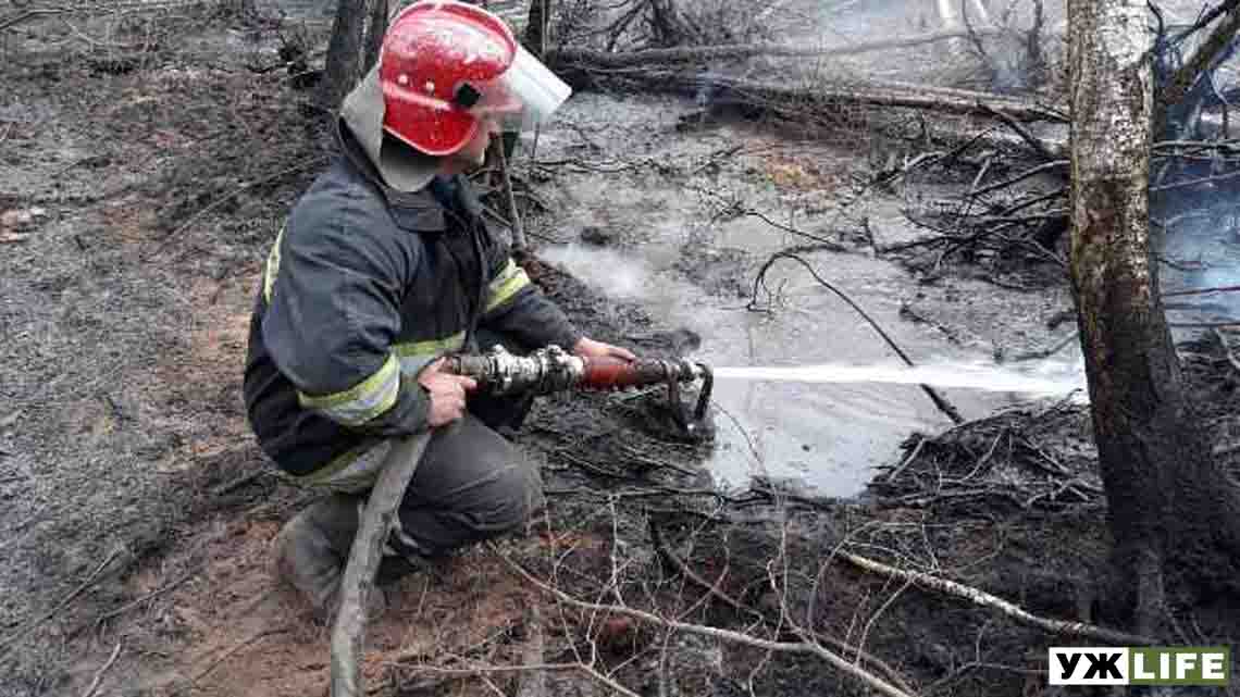 Близько 2 тис. рятувальників гасять лісові пожежі поблизу Чорнобиля, Овруча та Олевська