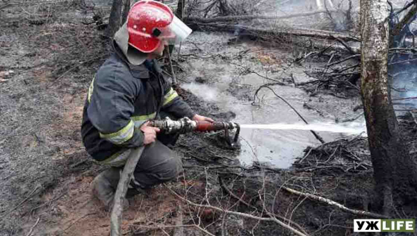 Близько 2 тис. рятувальників гасять лісові пожежі поблизу Чорнобиля, Овруча та Олевська