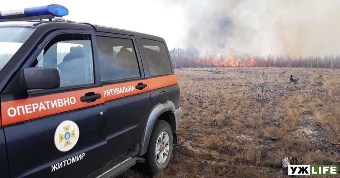 На Житомирщині спалахнула нова лісова пожежа