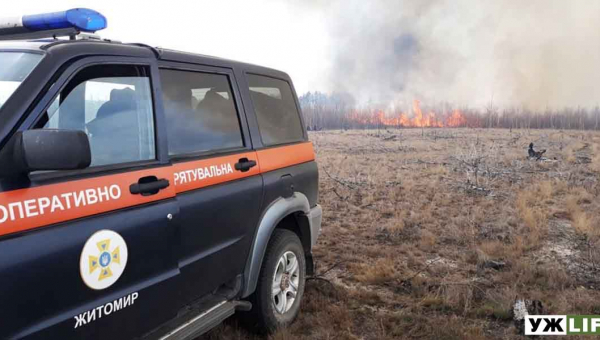 На Житомирщині спалахнула нова лісова пожежа