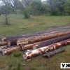 Лісова охорона Олевського лісгоспу наздогнала лісопорушників аж у сусідній Рівненщині