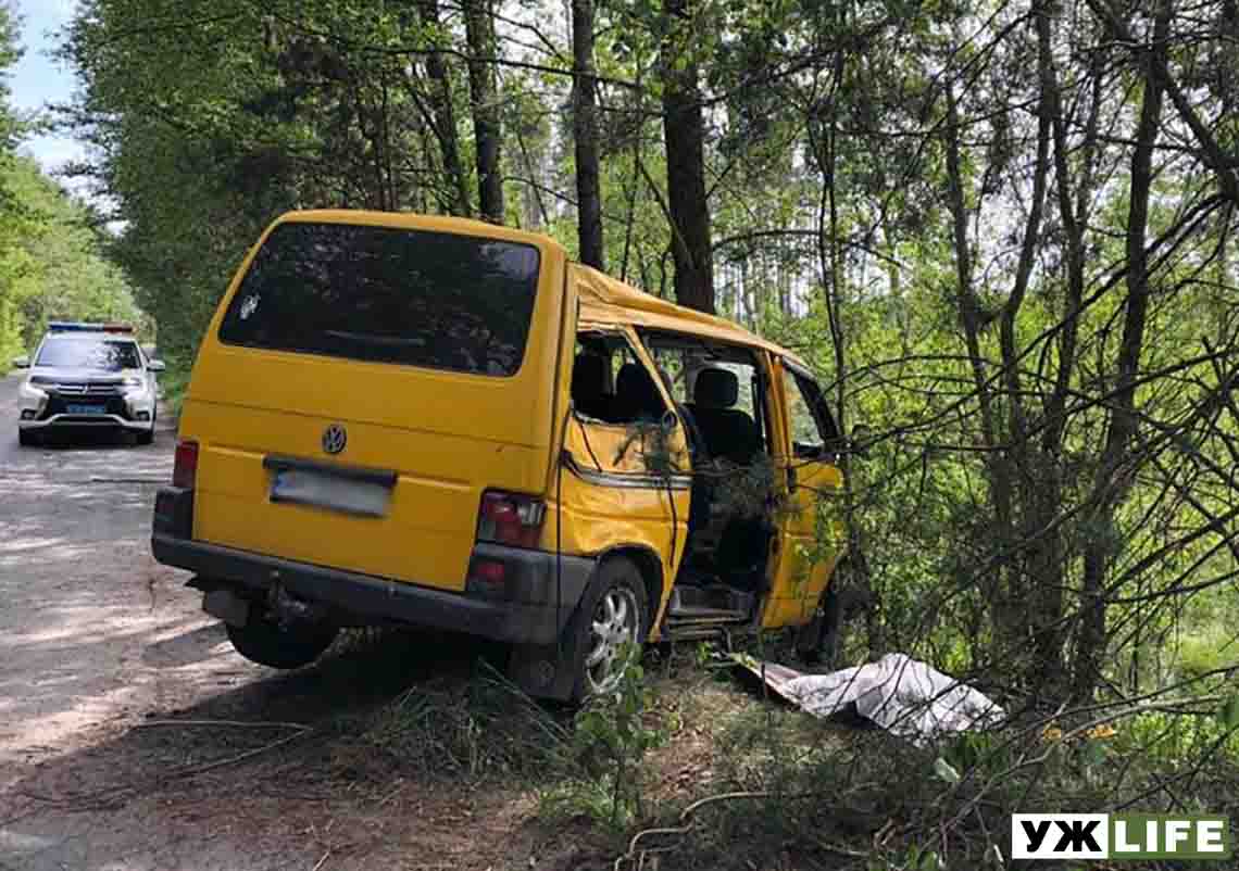 На Звягельщині мікроавтобус з’їхав з дороги і врізався в дерево: один пасажир загинув, ще троє – в лікарні