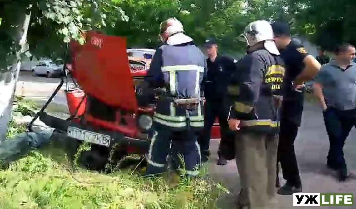 На Житомирщині рятувальники деблокували водія, який внаслідок ДТП застряг в автомобілі (ВІДЕО)