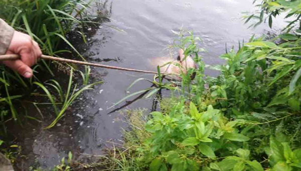 На Житомирщині за минулу добу рятувальники дістали з води тіла трьох потопельників