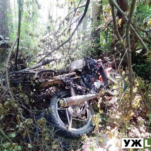 На Олевщині поліцейські розшукали трьох підлітків, які вкрали і спалили мотоцикл