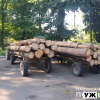 В Олевському районі продовжуть красти ліс – поліція зупинила трактори з сосною
