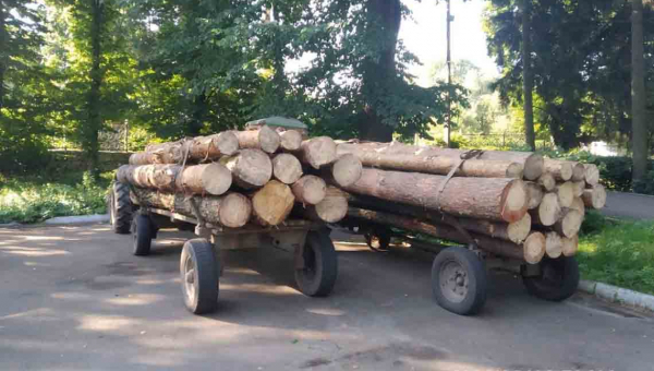 В Олевському районі продовжуть красти ліс – поліція зупинила трактори з сосною