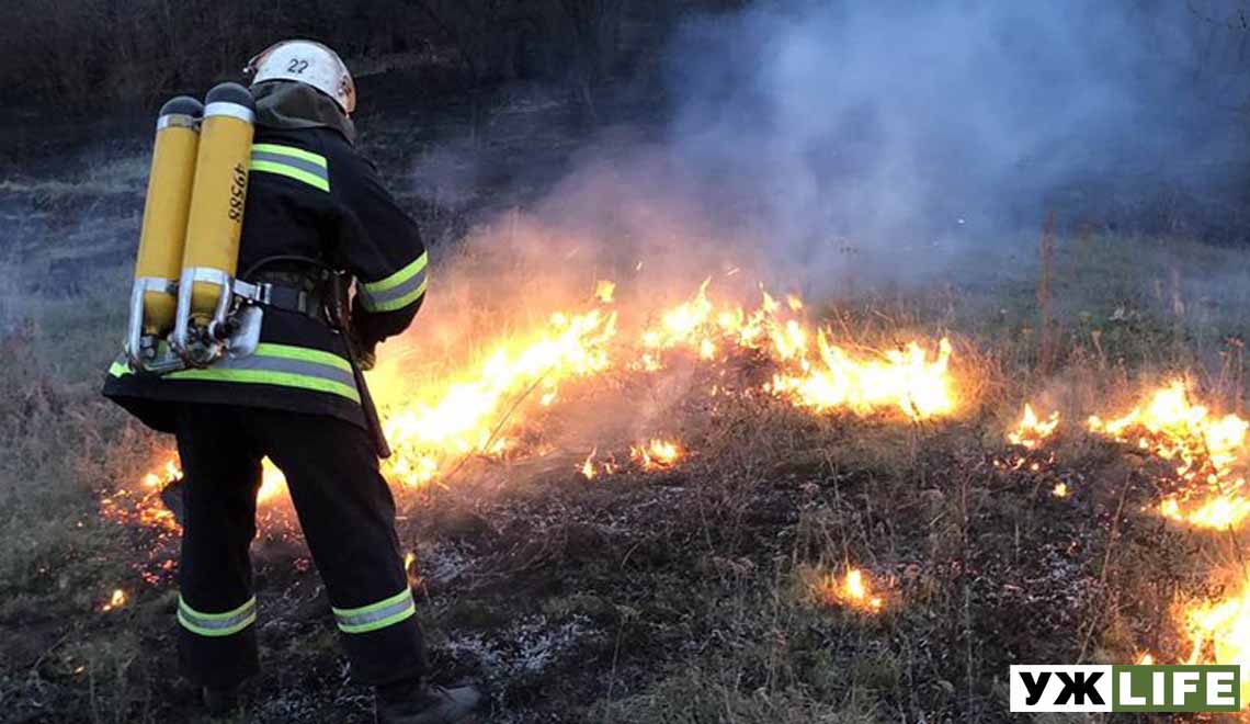 Лісові пожежі: на Житомирщині оцінили збитки в мільярд