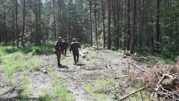 Екологи знову перевірили Олевський лісгосп і нарахували збитків на 700 тис. грн