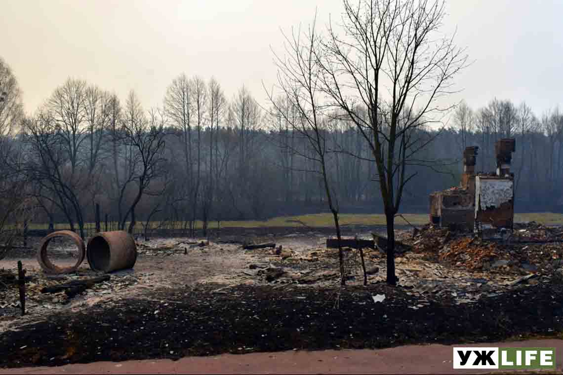 Постраждалим від пожеж на Житомирщині виплатять по 300 тисяч грн – голова ОДА