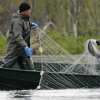 У жовтні Житомирський рибоохоронний патруль виявив 104 порушення правил рибальства