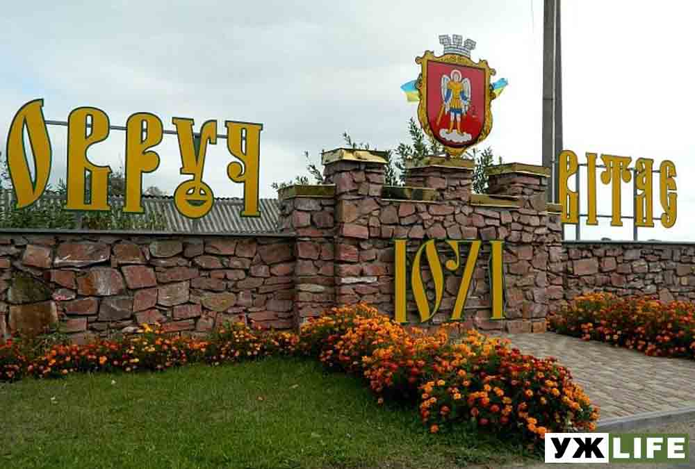 В Житомирській області не встановлені результати виборів лише в Овручі