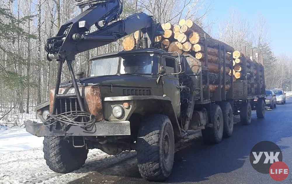 В Овруцькому районі прикордонники зупинили чергову вантажівку з деревиною без відповідних документів (ФОТО)