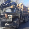 В Овруцькому районі прикордонники зупинили чергову вантажівку з деревиною без відповідних документів (ФОТО)