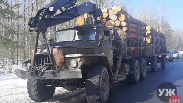 В Овруцькому районі прикордонники зупинили чергову вантажівку з деревиною без відповідних документів (ФОТО)