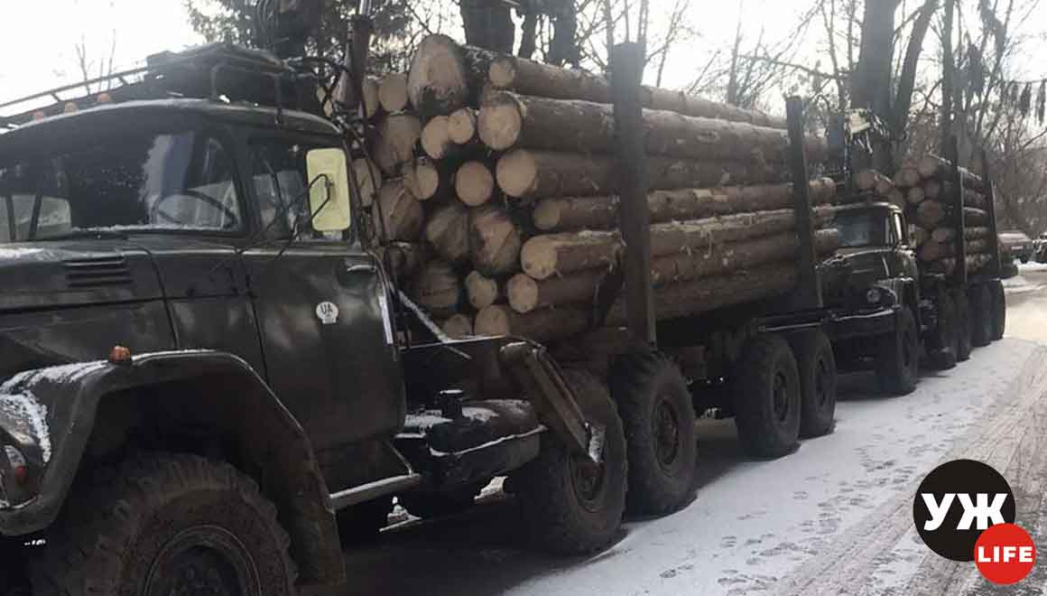 На Олевщині затримали одразу два ЗІЛа з нелегальною деревиною (ФОТО)