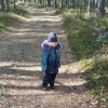 На Овруччині в лісі загубився 2-річний хлопчик (ФОТО)