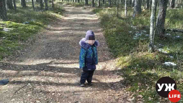 На Овруччині в лісі загубився 2-річний хлопчик (ФОТО)