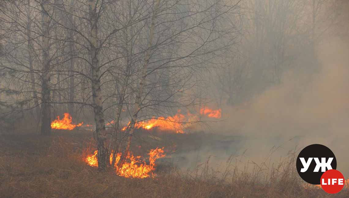 На Житомирщині через спалювання трави троє людей зазнали опіків