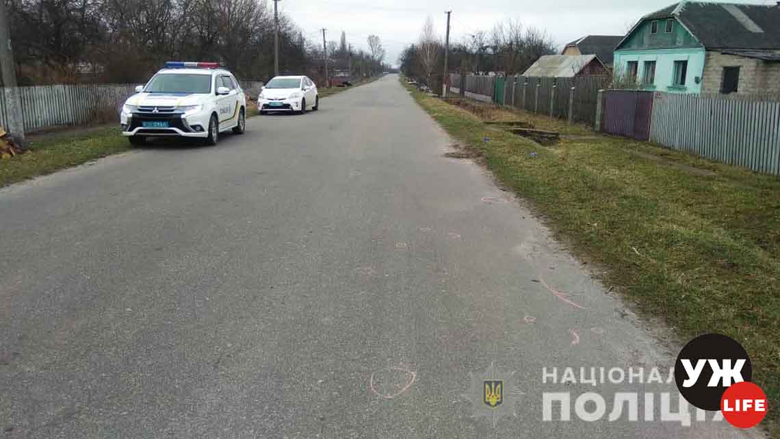 На Житомирщині водій Skoda вбив людину і втік з місця ДТП: власником автівки виявився поліцейський