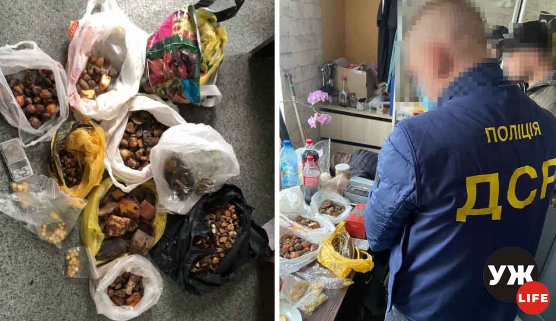 Майже 8 кг бурштину невідомого походження вилучили у жителя Олевська (ФОТО)