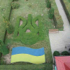 У Житомирській області лісівники створили «живі» символи України (ФОТО)