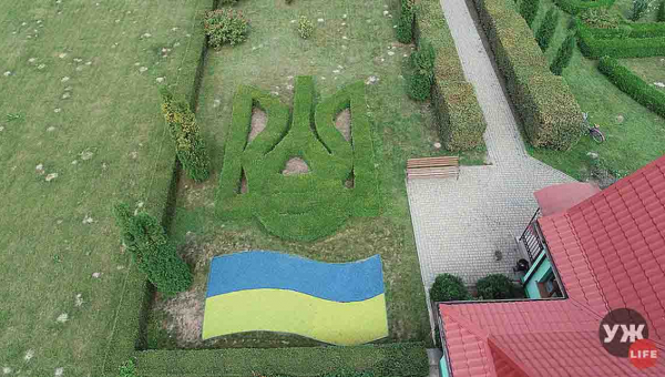 У Житомирській області лісівники створили «живі» символи України (ФОТО)