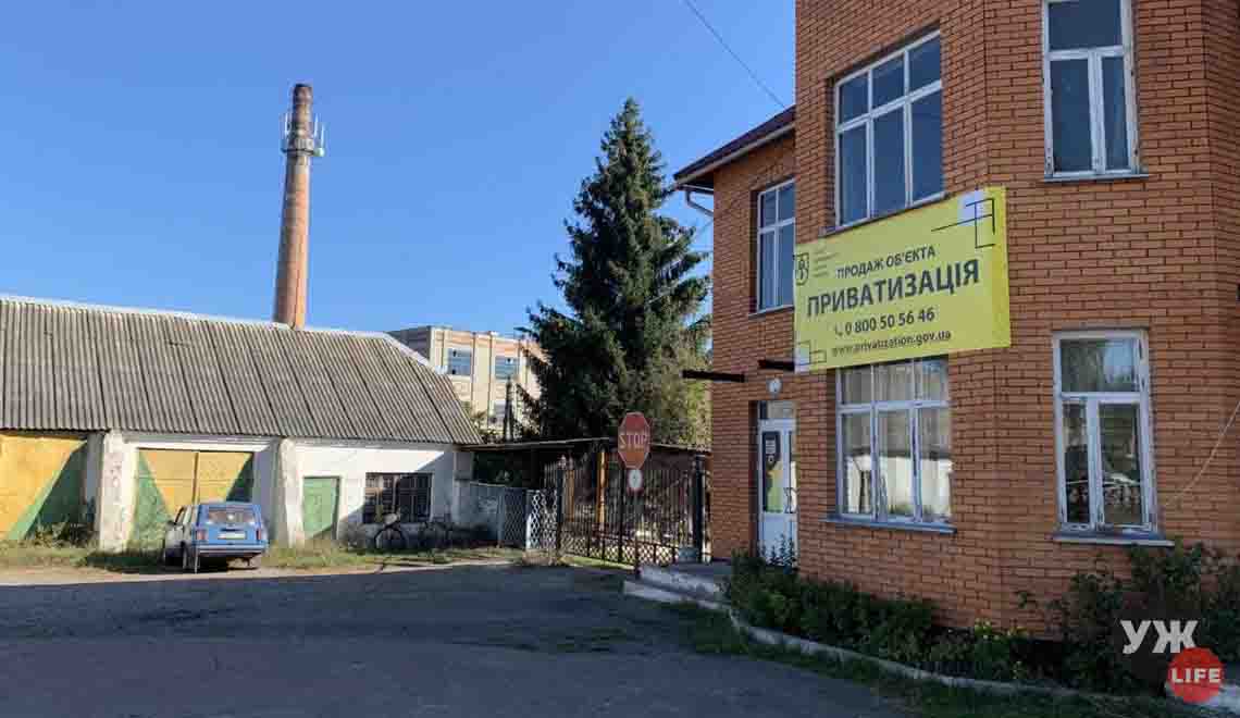 На Житомирщині за 21,9 млн грн продали спиртзавод