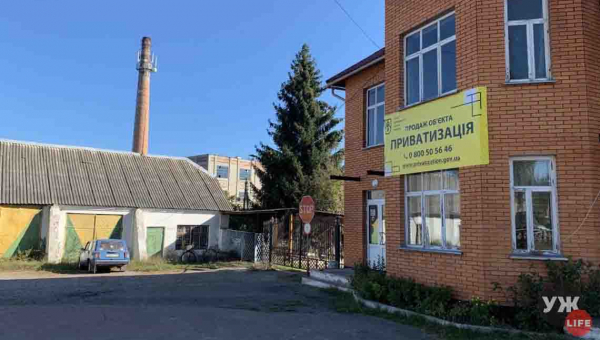 На Житомирщині за 21,9 млн грн продали спиртзавод