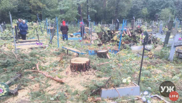 На Житомирщині під час зрізання дерев пошкодили понад два десятка могил (ВІДЕО)