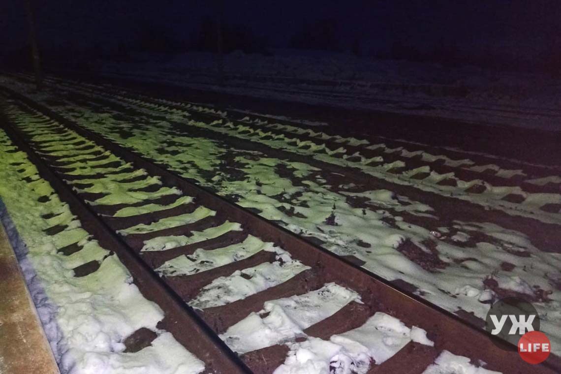 На Житомирщині потяг на смерть збив 51-річного чоловіка