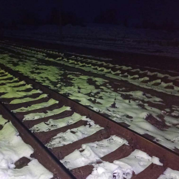 На Житомирщині потяг на смерть збив 51-річного чоловіка
