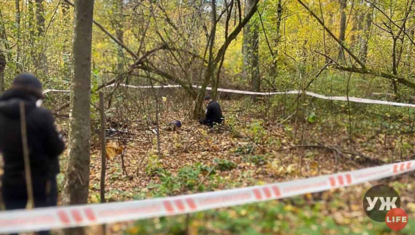 На околиці Житомира грибники знайшли тіло чоловіка, якого розшукували з травня