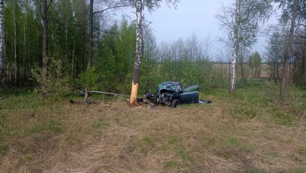 На Житомирщині в аварії загинув пасажир, а водій отримав тяжкі травми
