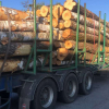 На Житомирщині патрульні зупинили лісовози без документів на деревину