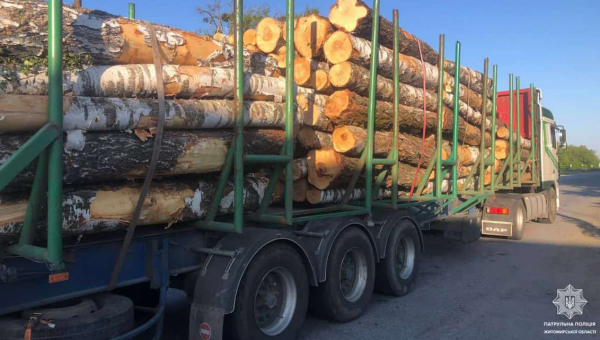 На Житомирщині патрульні зупинили лісовози без документів на деревину