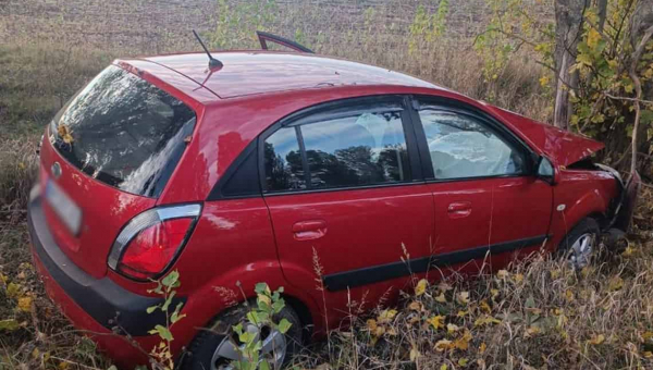 На Житомирщині автомобіль злетів у кювет та врізався у дерево: водійка загинула